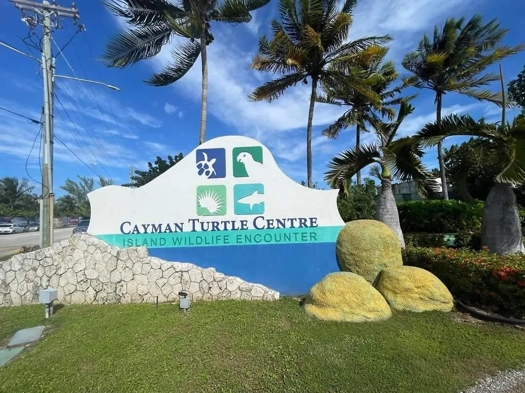 West Bay Oasis 2Br Condo With Pool 0*, West Bay